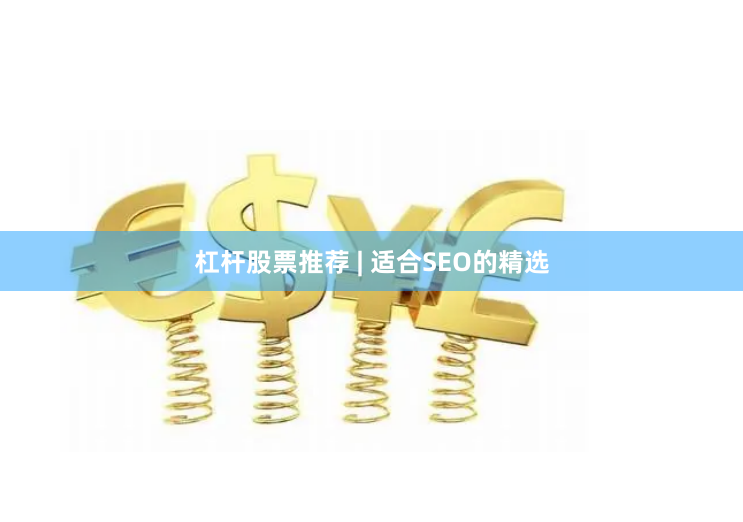 杠杆股票推荐 | 适合SEO的精选
